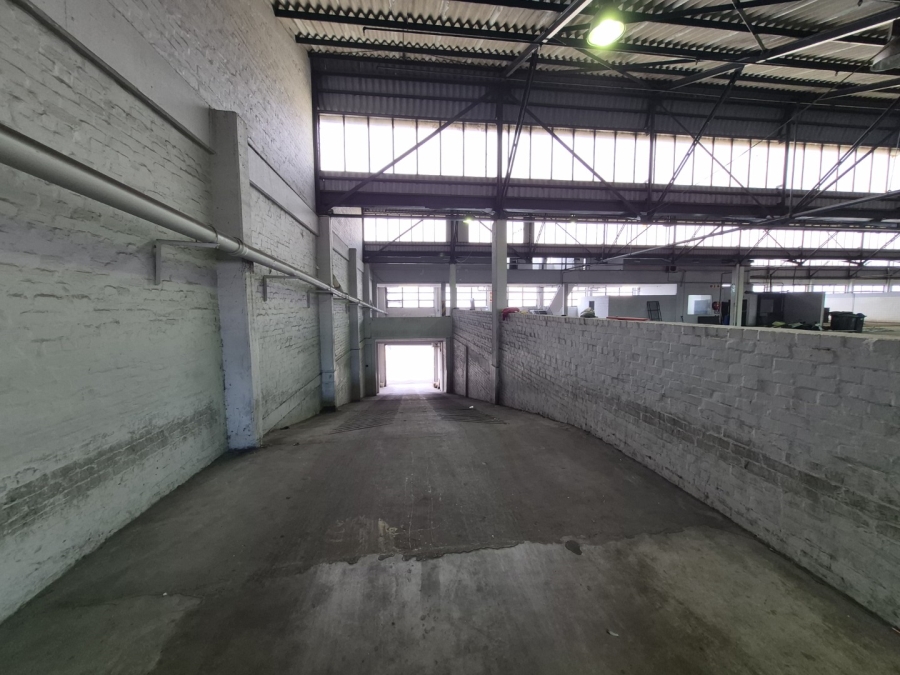 To Let Commercial Property for Rent in Paarden Eiland Western Cape